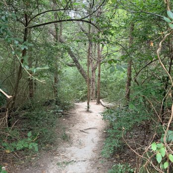 Oak Cliff Nature Preserve - Parks Near Me - Dallas, Texas Oak Cliff Nature Preserve - Parks Near Me - Dallas, Texas