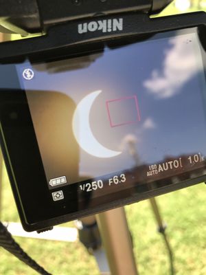 Jim Bob Contracting Logo