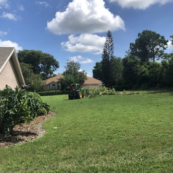 XD Land Service - Tree Services Near Me - Casselberry, Florida XD Land Service - Tree Services Near Me - Casselberry, Florida
