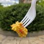 Photo of Banyan Southern Chinese Food