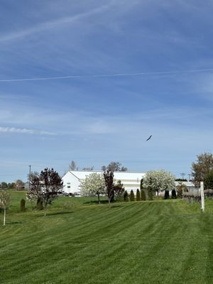 Grosgrain Vineyards by null