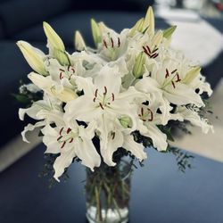 Paradise Florist - Lilies!