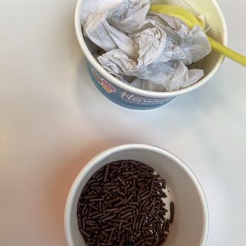 Howdy Homemade Ice Cream - Finished 2 scoops with a side of toppings - Desserts Near Me - Dallas, Texas