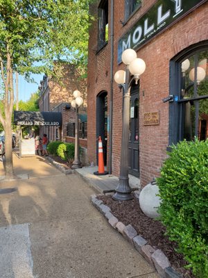 Molly's In Soulard by null