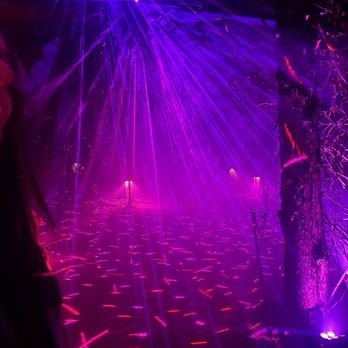 Astra Lumina Dallas - Photos do not do this justice! We called it twinkling ice! It was our favorite! - Tours Near Me - Dallas, Texas Astra Lumina Dallas - Photos do not do this justice! We called it twinkling ice! It was our favorite! - Tours Near Me - Dallas, Texas