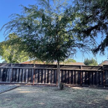 4 Seasons Tree Services - They removed this tree - Tree Services Near Me 4 Seasons Tree Services - They removed this tree - Tree Services Near Me
