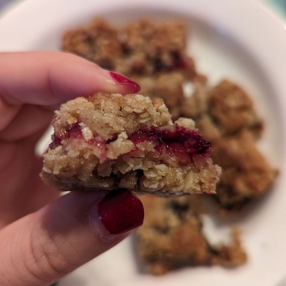 Bonnie's Bread - Cranberry Oatmeal Square - Desserts Near Me - Vancouver, British Columbia Bonnie's Bread - Cranberry Oatmeal Square - Desserts Near Me - Vancouver, British Columbia