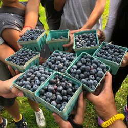 Keenan Family Farm - Our Family's loot for today's pickin' session!