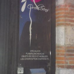 Orchi-Sens