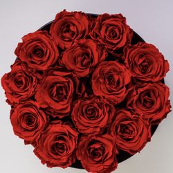 Curtis Flower Shop - Red Roses
