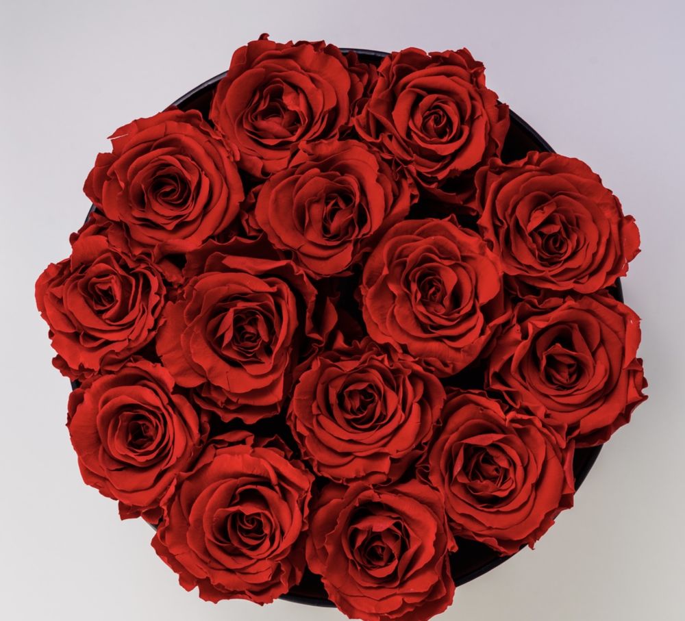 CURTIS FLOWERS Updated May 2024 142 Photos 5200 Corunna Rd, Flint