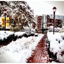 Daniels College of Business