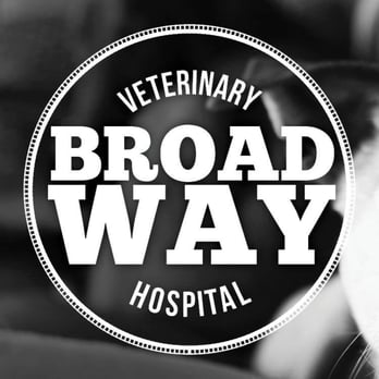 Broadway Veterinary Hospital - Veterinarians Near Me - Seattle, Washington Broadway Veterinary Hospital - Veterinarians Near Me - Seattle, Washington