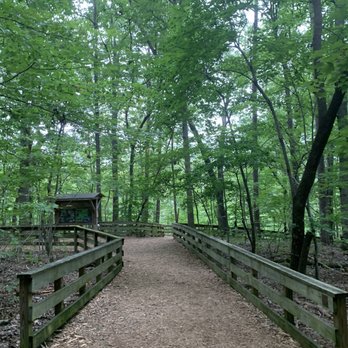 Hemlock Bluffs Nature Preserve - Hiking Near Me - Cary, North Carolina Hemlock Bluffs Nature Preserve - Hiking Near Me - Cary, North Carolina