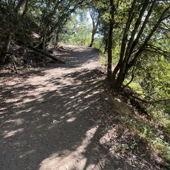 Joaquin Miller Park - Wide trails - Parks Near Me - Oakland, California Joaquin Miller Park - Wide trails - Parks Near Me - Oakland, California