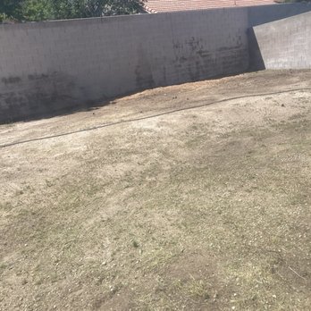 R&M Tree Services - Trees gone - Tree Services Near Me - Las Vegas, Nevada R&M Tree Services - Trees gone - Tree Services Near Me - Las Vegas, Nevada