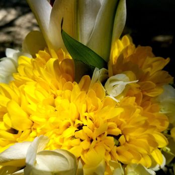 Boulevard Florist - Florists Near Me - Westminster, California Boulevard Florist - Florists Near Me - Westminster, California