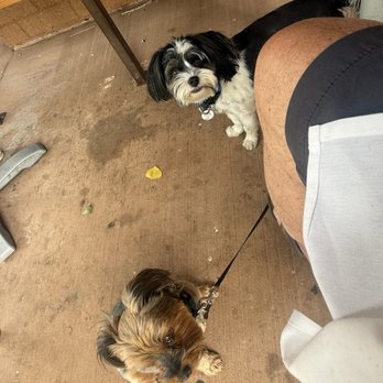 Wild Thyme Cafe - Pups came with us - Whiskey Bars Near Me - Springdale, Utah Wild Thyme Cafe - Pups came with us - Whiskey Bars Near Me - Springdale, Utah