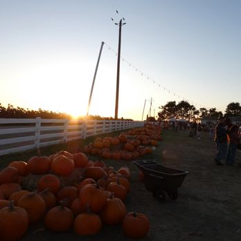 Borchard Farms - Pumpkin Patches Near Me - Salinas, California