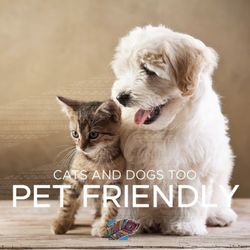 CBD American Shaman - Pets need our help too!