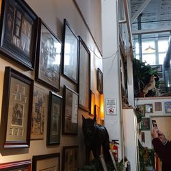 International Cryptozoology Museum