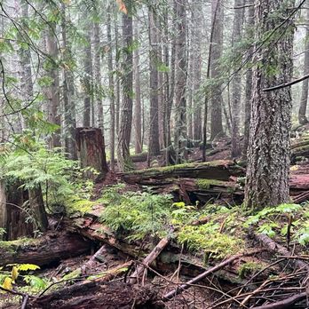 Mirror Lake Trail - Parks Near Me - Zigzag, Oregon