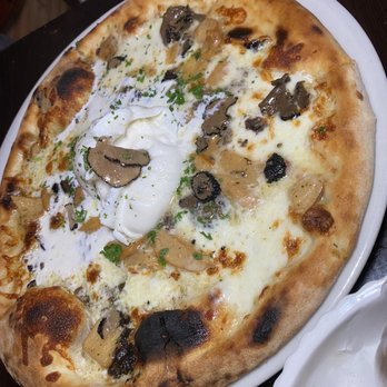 Gioia Eat - Truffle pizza with Burrata so amazing ! - Italian Near Me - Hallandale Beach, Florida Gioia Eat - Truffle pizza with Burrata so amazing ! - Italian Near Me - Hallandale Beach, Florida