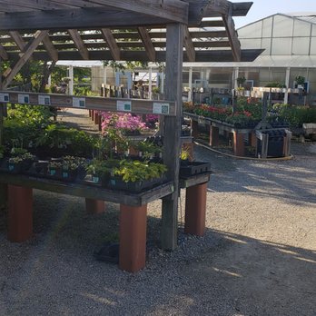 Baker's Acres Greenhouse - Nurseries & Gardening Near Me - Alexandria, Ohio Baker's Acres Greenhouse - Nurseries & Gardening Near Me - Alexandria, Ohio
