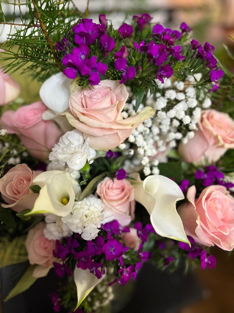 Social spots from Beauty By Design