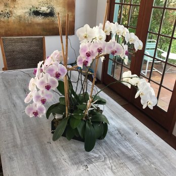 Picket Fence Florist - Florists Near Me - Kailua, Hawaii Picket Fence Florist - Florists Near Me - Kailua, Hawaii
