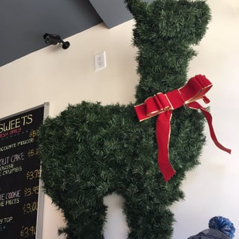 Bibble & Sip - Alpaca! - Coffee & Tea Near Me - New York, New York