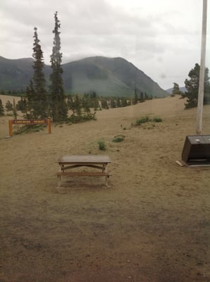 Carcross Desert by null