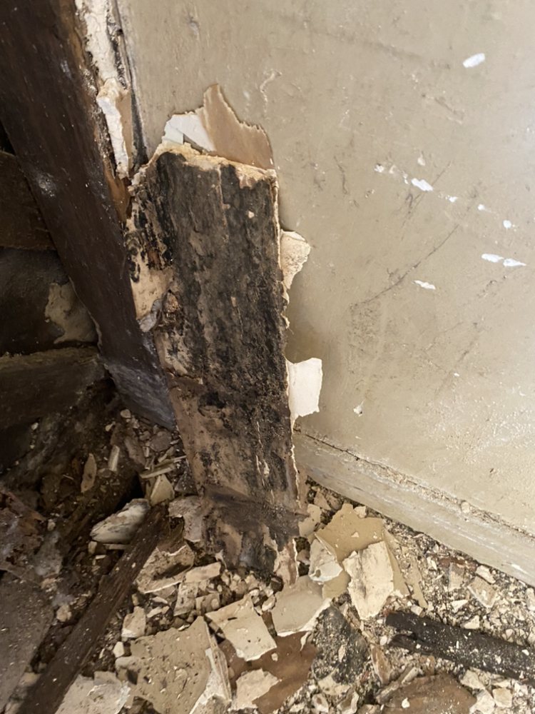 Clean All Remediation - mold inspector in Alhambra, CA