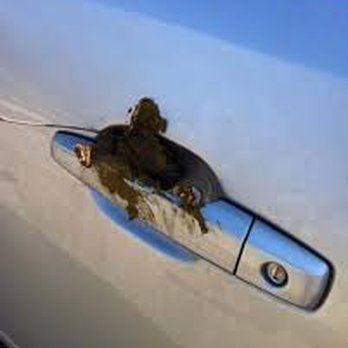 Pro-Clean Car Wash Express - Detailer left me a pleasant surprise. - Car Wash Near Me - Rock Island, Illinois Pro-Clean Car Wash Express - Detailer left me a pleasant surprise. - Car Wash Near Me - Rock Island, Illinois