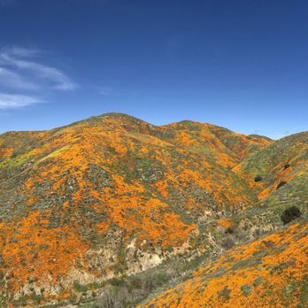 Walker Canyon Ecological Reserve - Obligatory pano - Wildlife Hunting Ranges Near Me