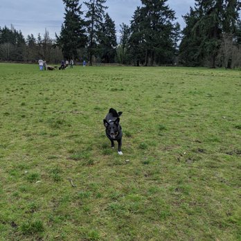 Fort Steilacoom Park - Dog Parks Near Me - Lakewood, Washington Fort Steilacoom Park - Dog Parks Near Me - Lakewood, Washington