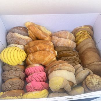 El Bolillo Bakery - Box of pan de dulce - Bakeries Near Me - Houston, Texas El Bolillo Bakery - Box of pan de dulce - Bakeries Near Me - Houston, Texas