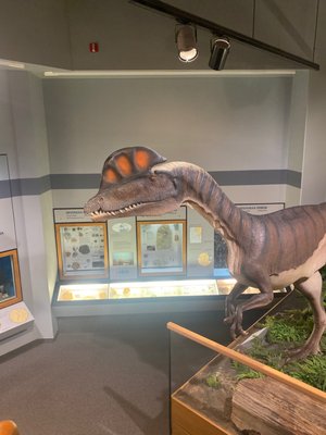 Memphis Museum of Science & History by null