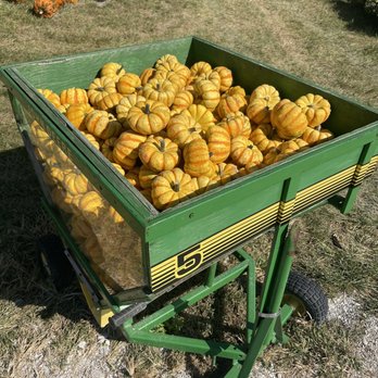 Pumpkin's Galore - a cart full of pumpkins - Farmers Market Near Me - Wright City, Missouri
