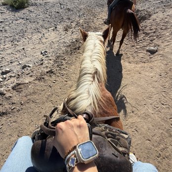 Ponderosa Stables - Waffles on a walk - Horseback Riding Near Me - Phoenix, Arizona