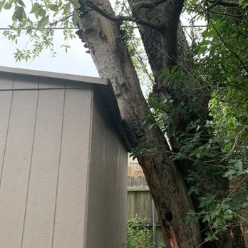 Ortega's Lawn and Landscaping - Tree Services Near Me Ortega's Lawn and Landscaping - Tree Services Near Me