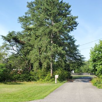 King Cutters Tree Service - Unfinished tree and parking lot service - Tree Services Near Me King Cutters Tree Service - Unfinished tree and parking lot service - Tree Services Near Me