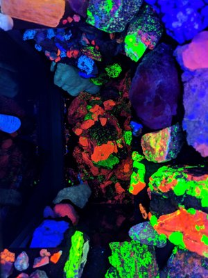 Electric Ladyland - Museum of Fluorescent Art by null