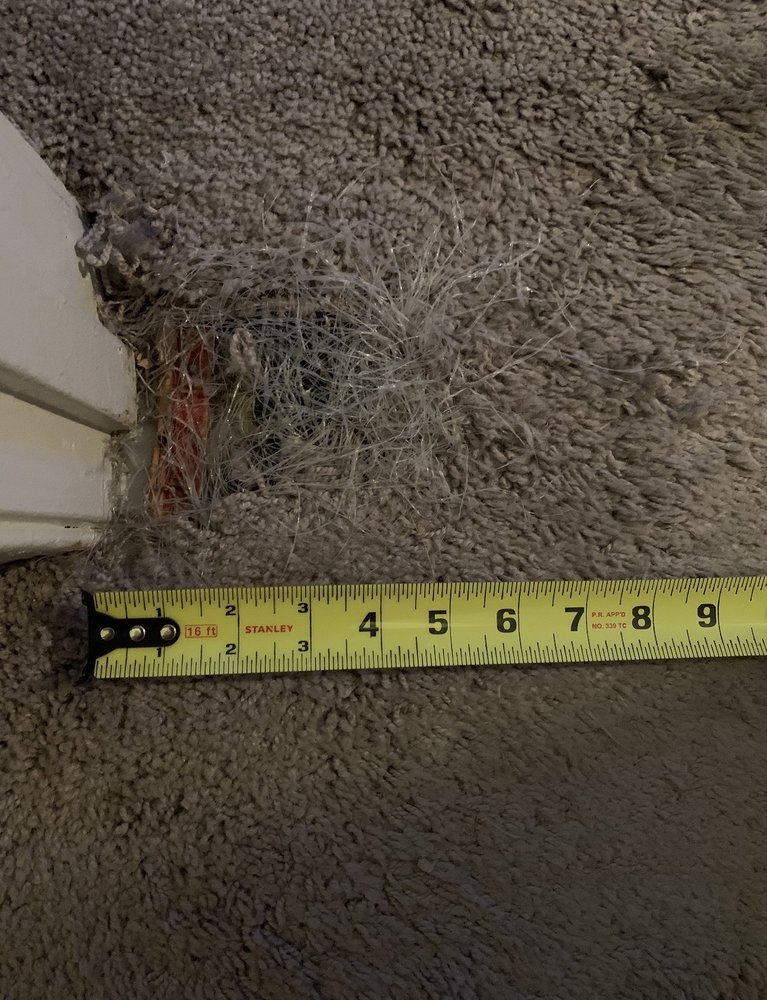 MARYLAND CARPET REPAIR AND CLEANING Updated September 2024 115