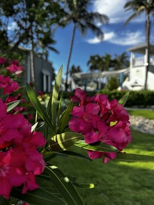 South Seas Resort by null