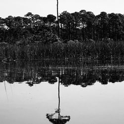 Grayton Beach State Park - Western Lake - Hauntingly beautiful!