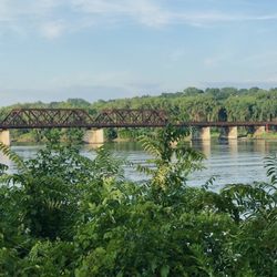 Albany Corning Preserve