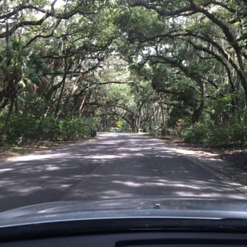 Philippe Park - Tree lined road - Parks Near Me - Safety Harbor, Florida