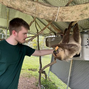 Wellington Conservation Center - Feeding and petting a sloth - Petting Zoos Near Me - Wellington, Florida