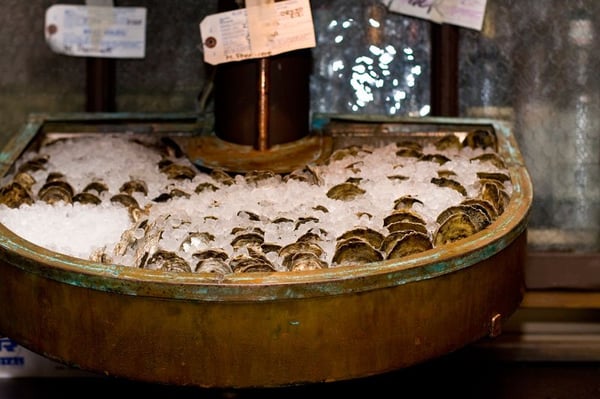 Maison Premiere by null Maison Premiere by null